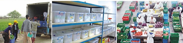 配送中心，食堂配送，食材配送